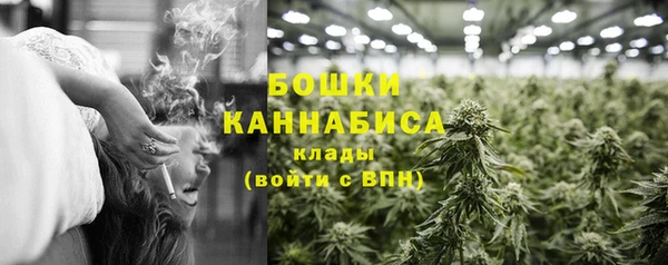 ALPHA PVP Заводоуковск