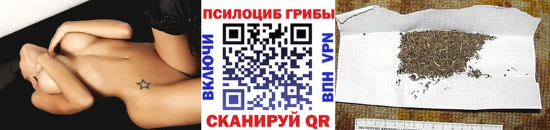 как найти наркотики  Перевоз  Галлюциногенные грибы Cubensis 